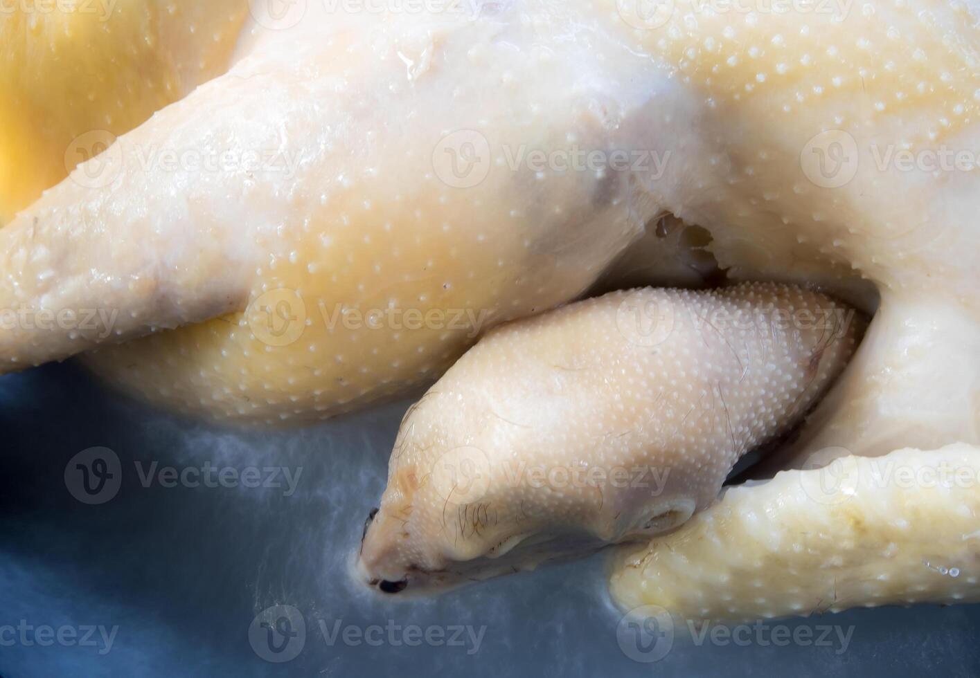 Chicken cooked in boiling water in a saucepan photo