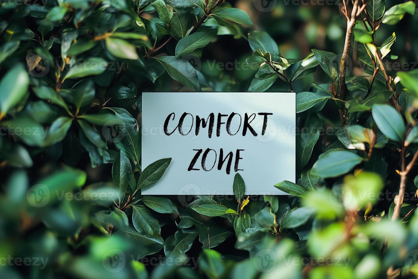Comfort zone message written on white card on a bush photo