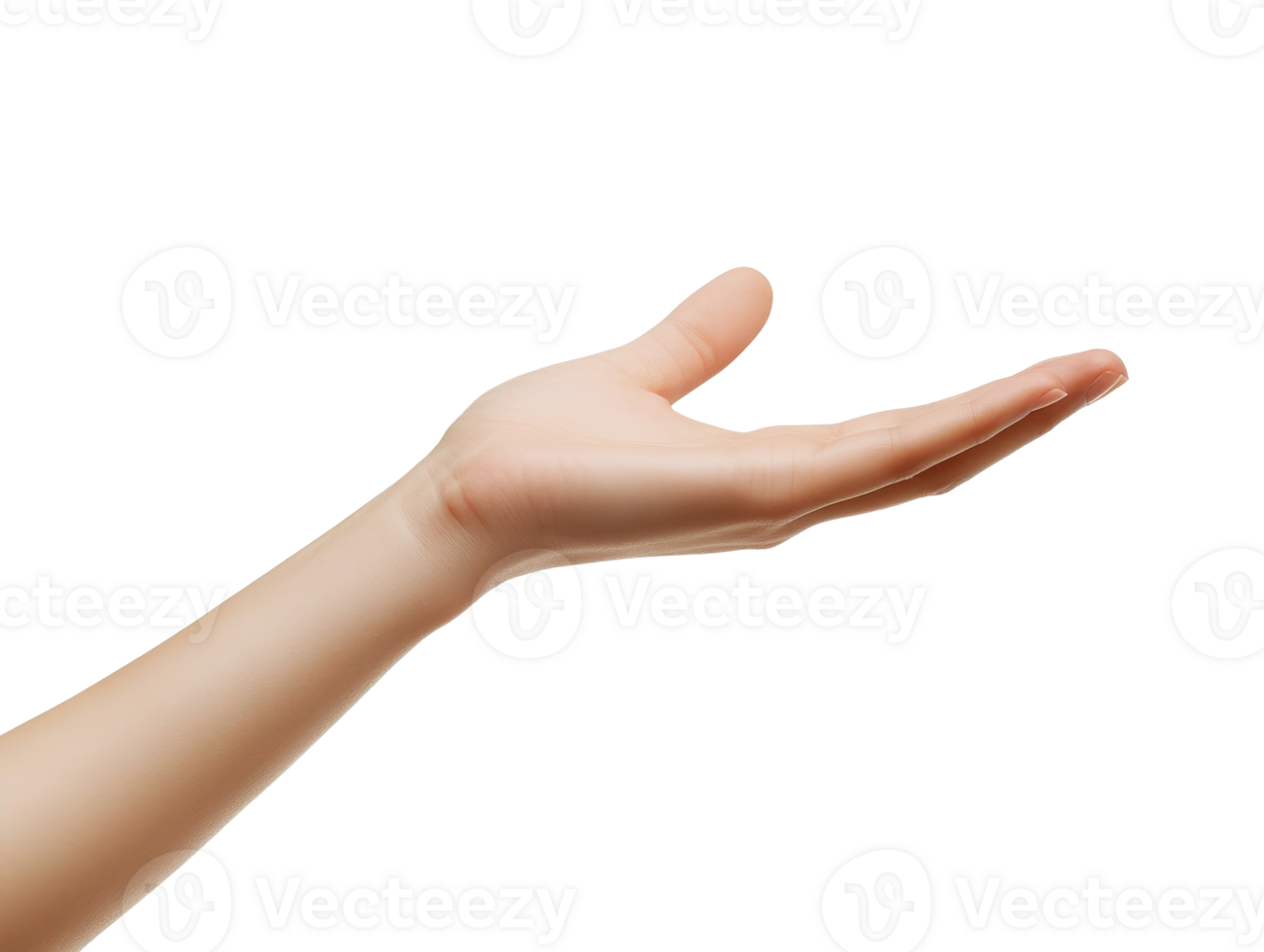 Open hand reaching out in a welcoming gesture png