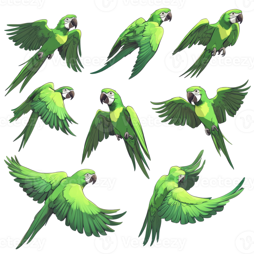 Colorful green parrots in various flying poses png