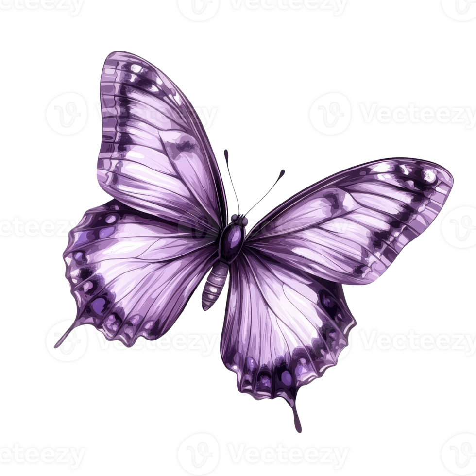 Colorful butterfly with intricate wing patterns png