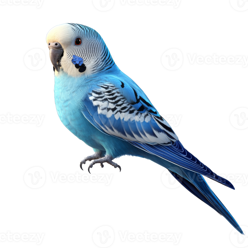 Bright blue budgerigar perched on a branch png