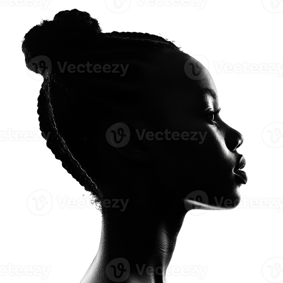 Elegant profile silhouette of a woman with braids png
