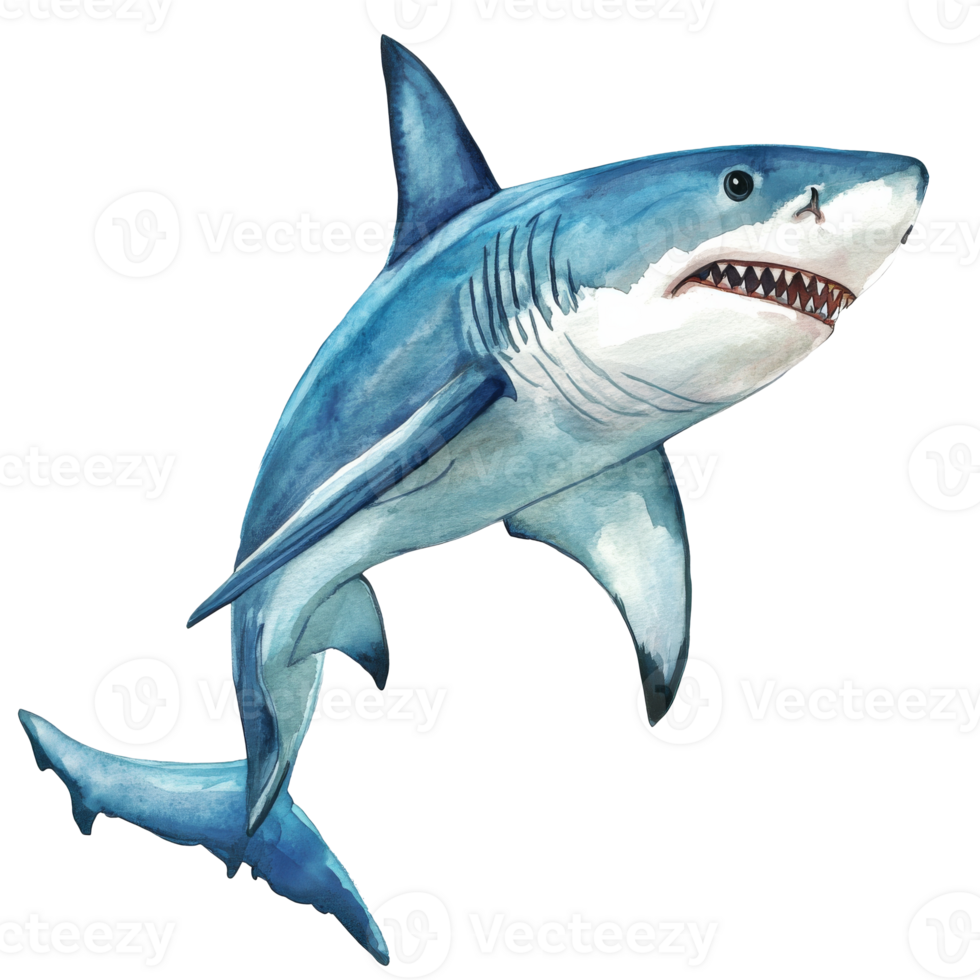 Shark swimming in an underwater environment png