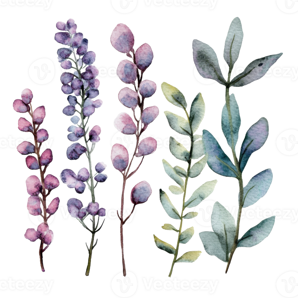 Delicate watercolor botanical mix png