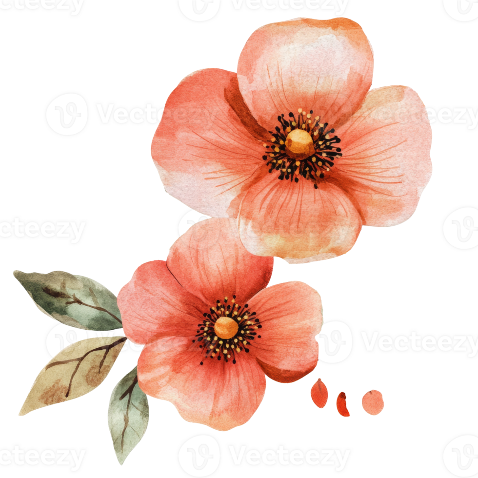 Beautiful watercolor flowers with delicate petals png