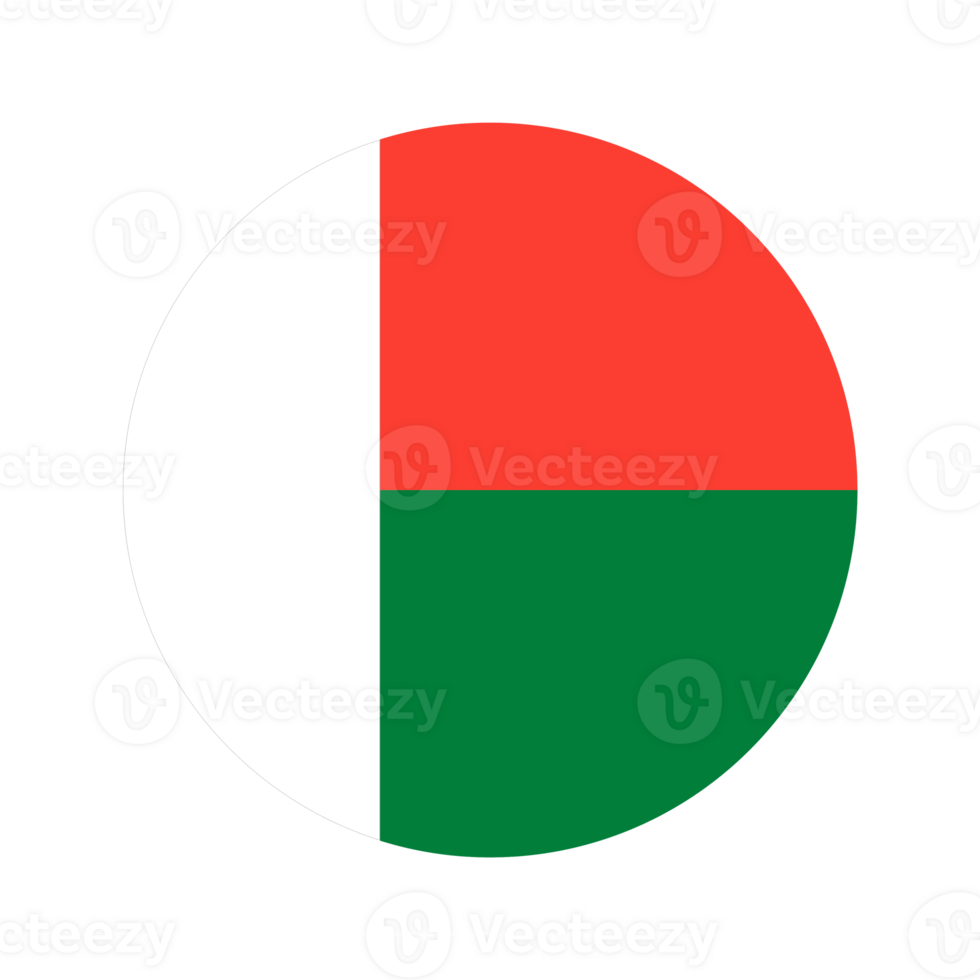 Madagascar flag simple illustration for independence day or election png
