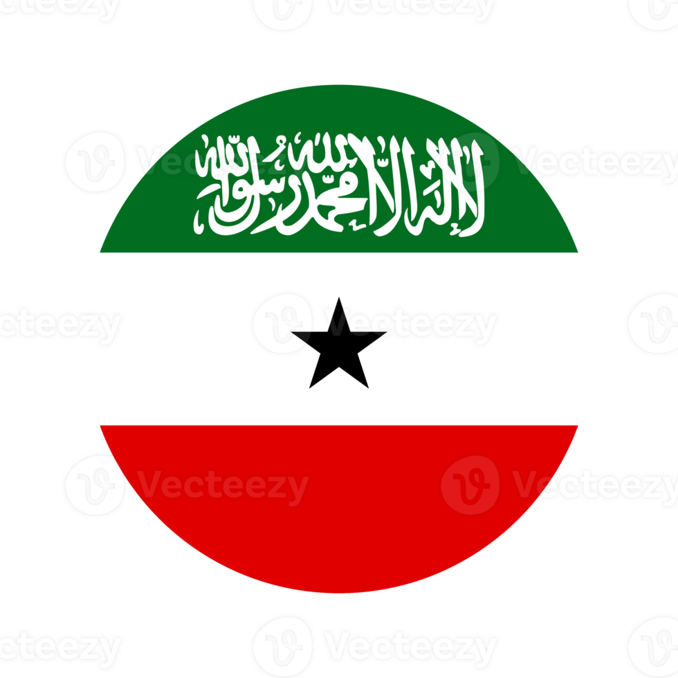 Somaliland flag simple illustration for independence day or election png