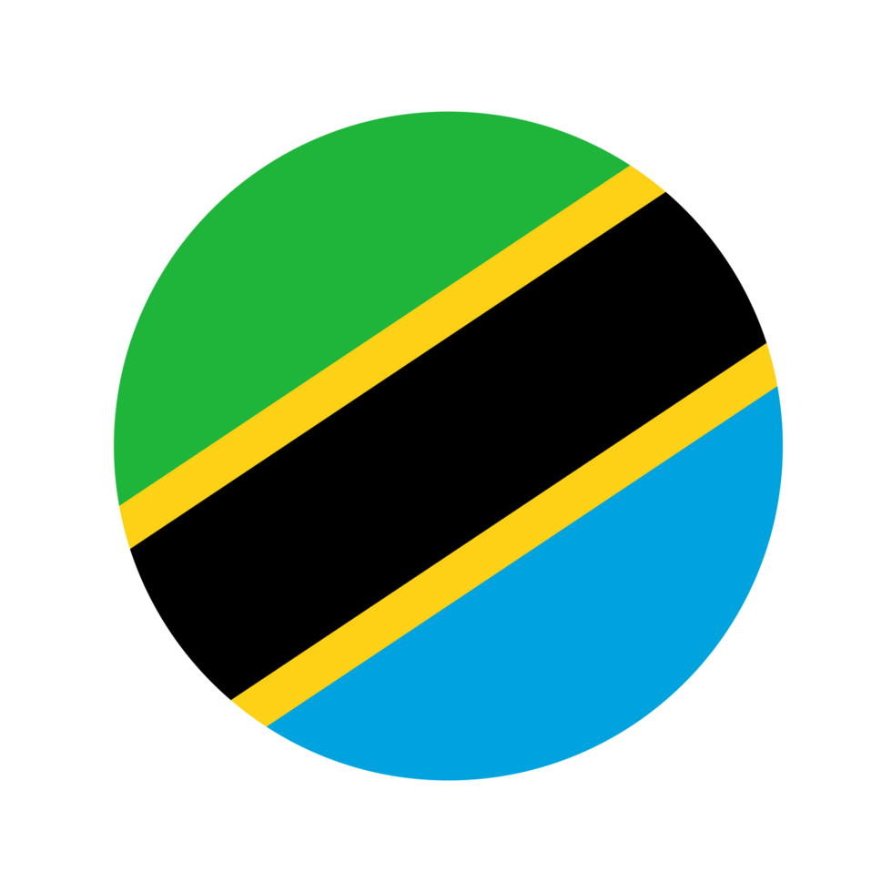 Tanzania flag simple illustration for independence day or election png