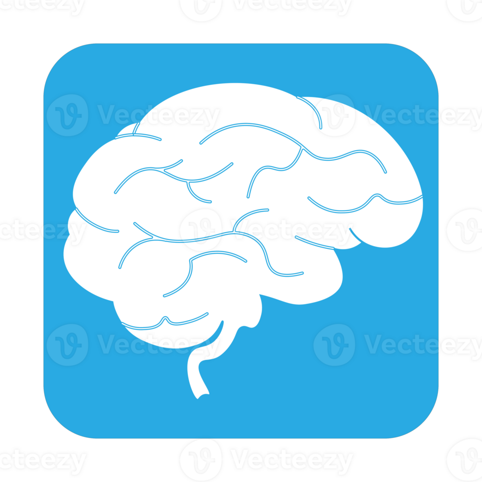 Brain illustration icon for web design isolated on white background png