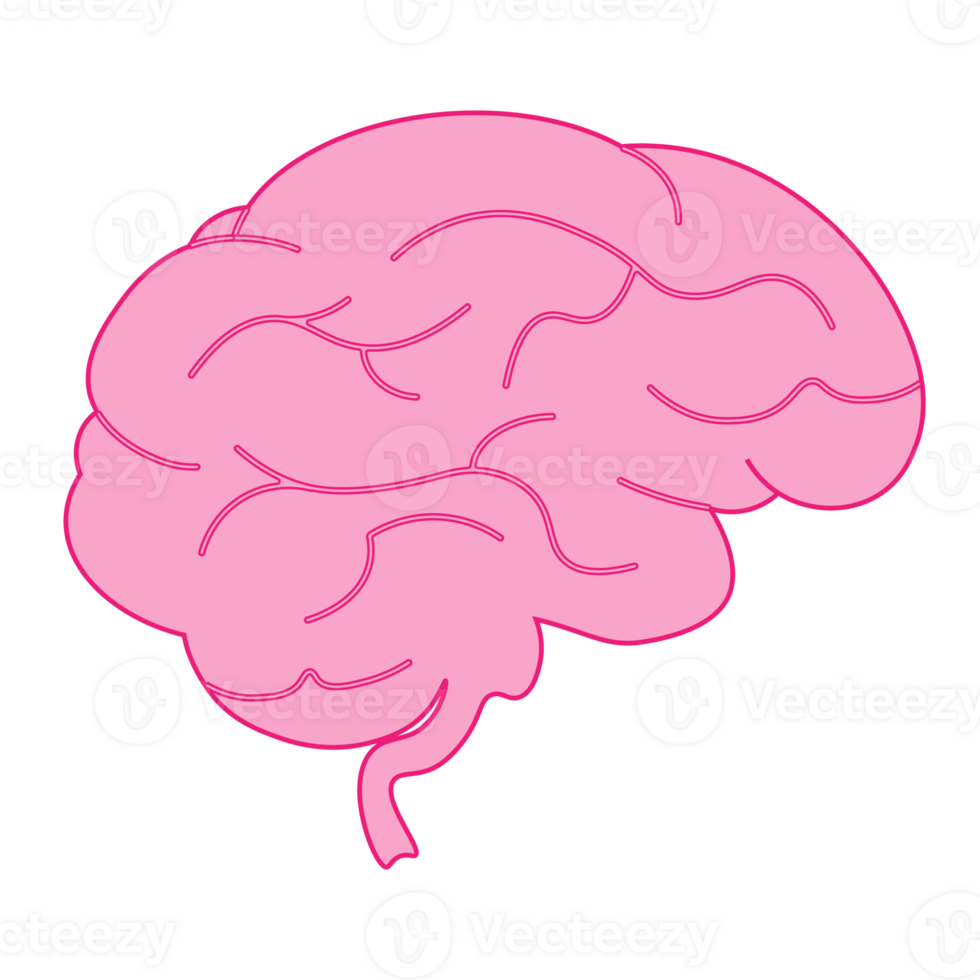 Brain illustration icon for web design isolated on white background png
