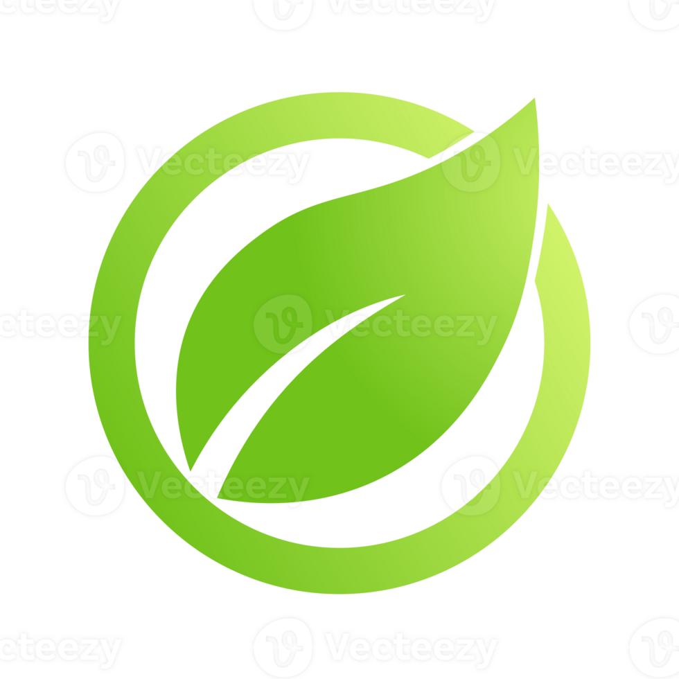 Eco green leaf icon Bio nature green eco symbol for web and business png