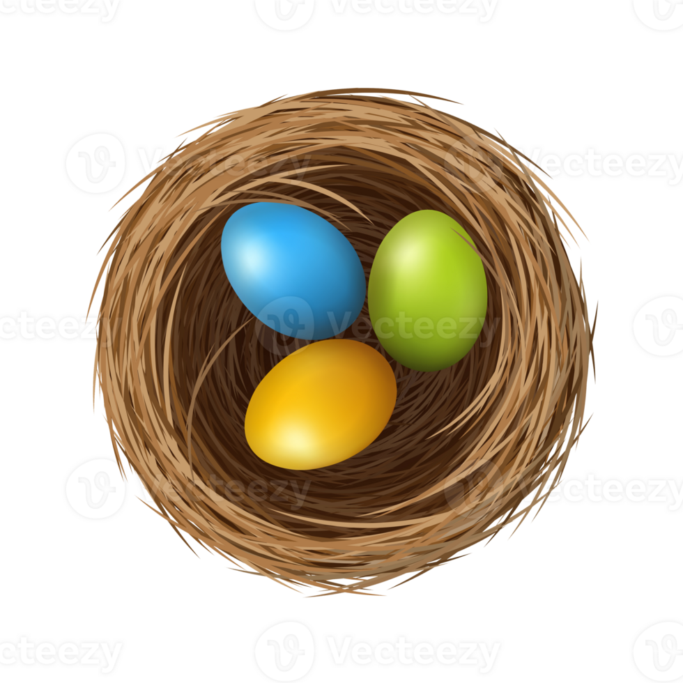 Easter eggs on wild bird nest from straw and twigs png