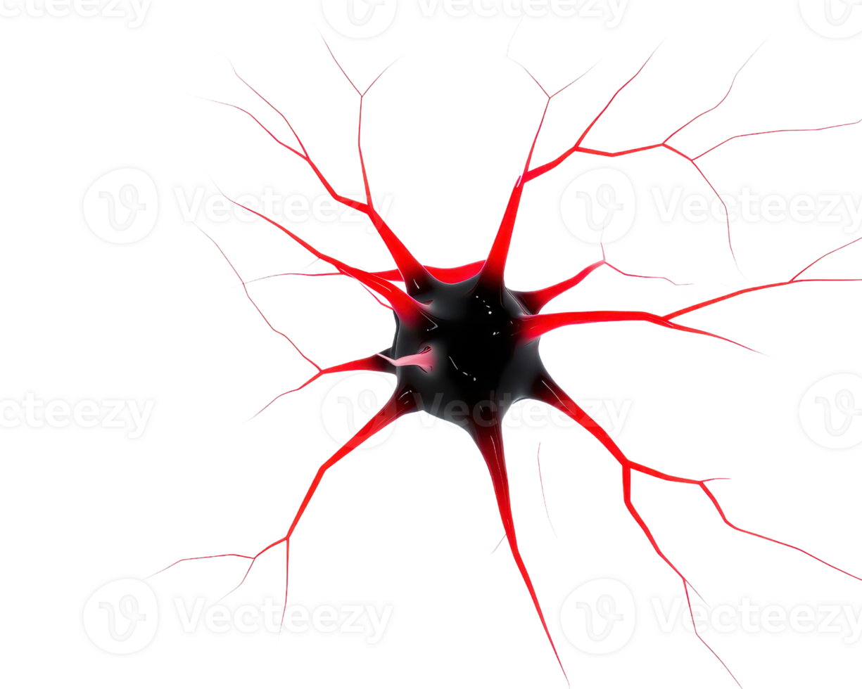 A vivid red neuron with branching extensions, showcasing its intricate structure and connectivity. png