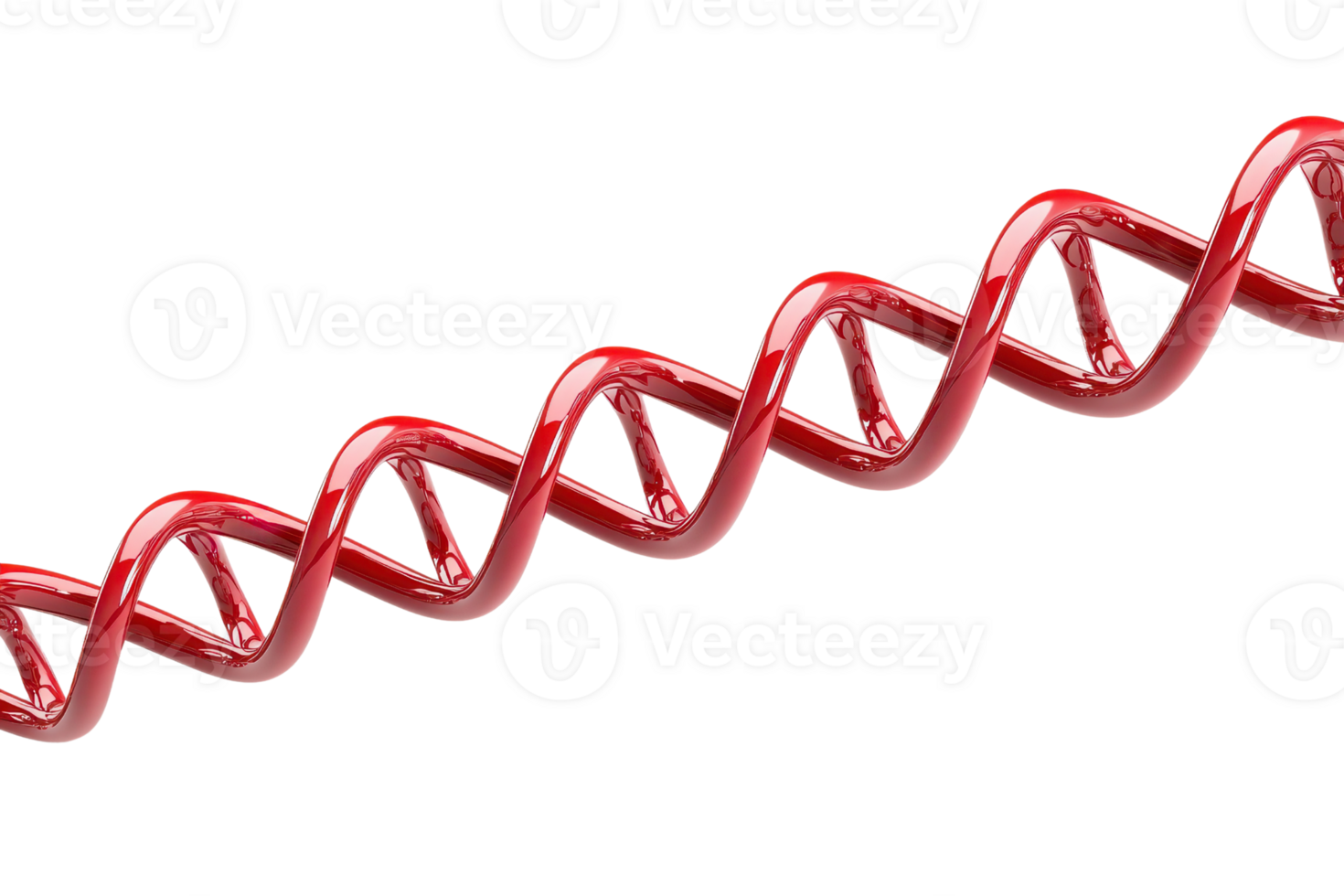 A vibrant red DNA double helix structure showcasing its iconic twisted shape and base pairs. png