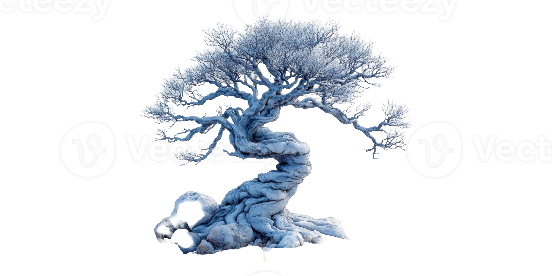 Twisted Tree Figure Isolated on Transparent Background png
