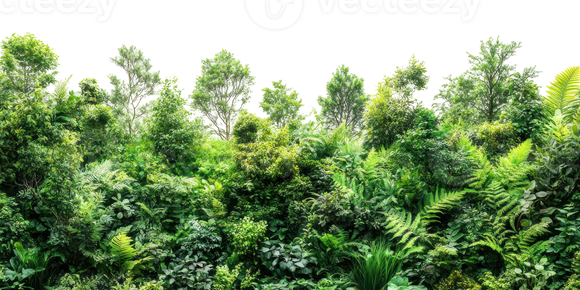 Thick Green Shrubbery Isolated on Transparent Background png