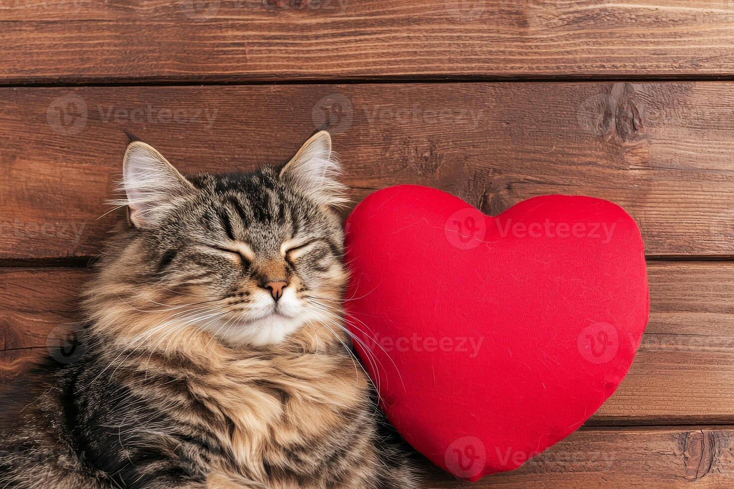 valentine cozy moment. Cat resting beside a red heart pillow on wooden background. photo