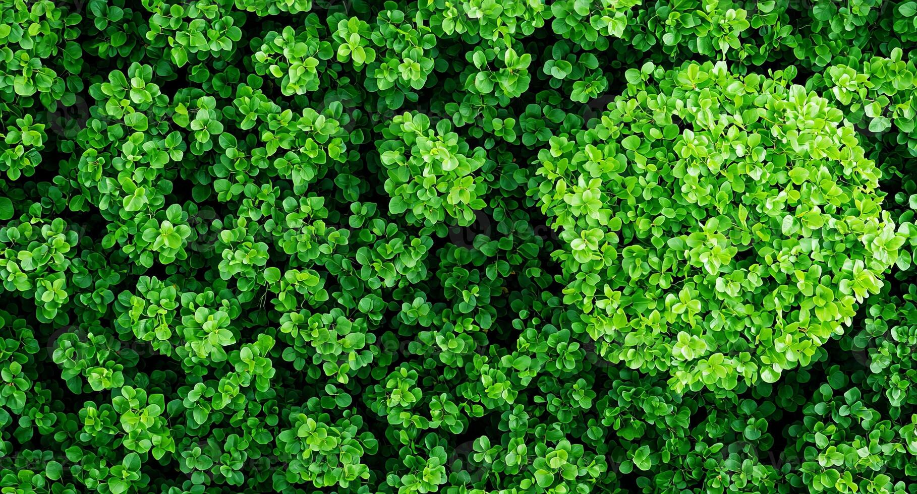 Lush green foliage with varying textures and shapes. photo