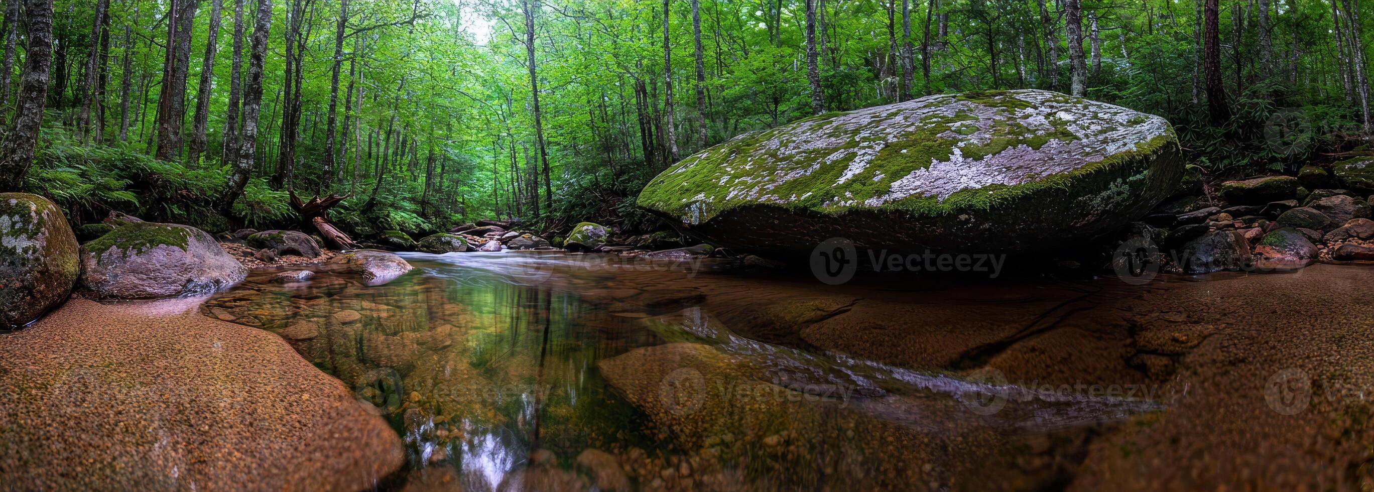 Serene forest scene with a stream and large rock formation. photo