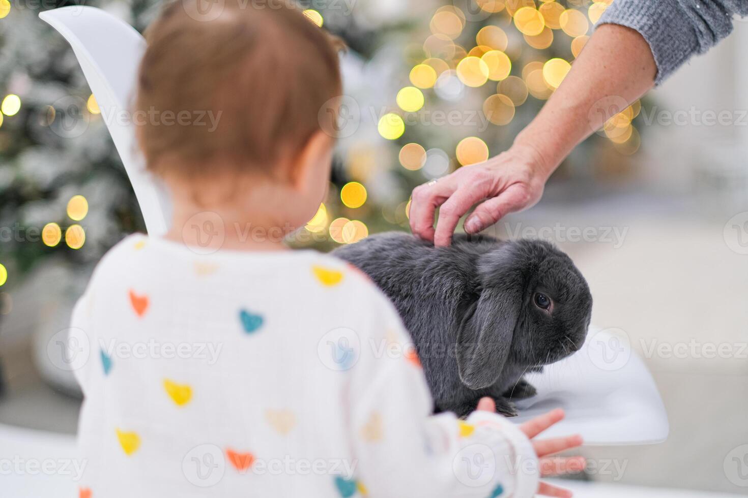 Gray rabbit in New Year's decorations photo