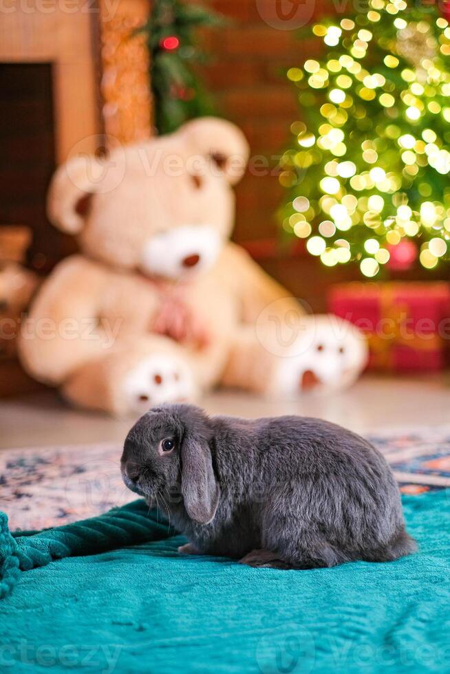 Gray rabbit in New Year's decorations photo