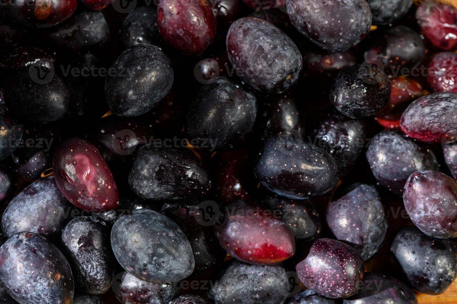 Fresh and juicy black grapes harvested in a sunny vineyard during the late summer season photo