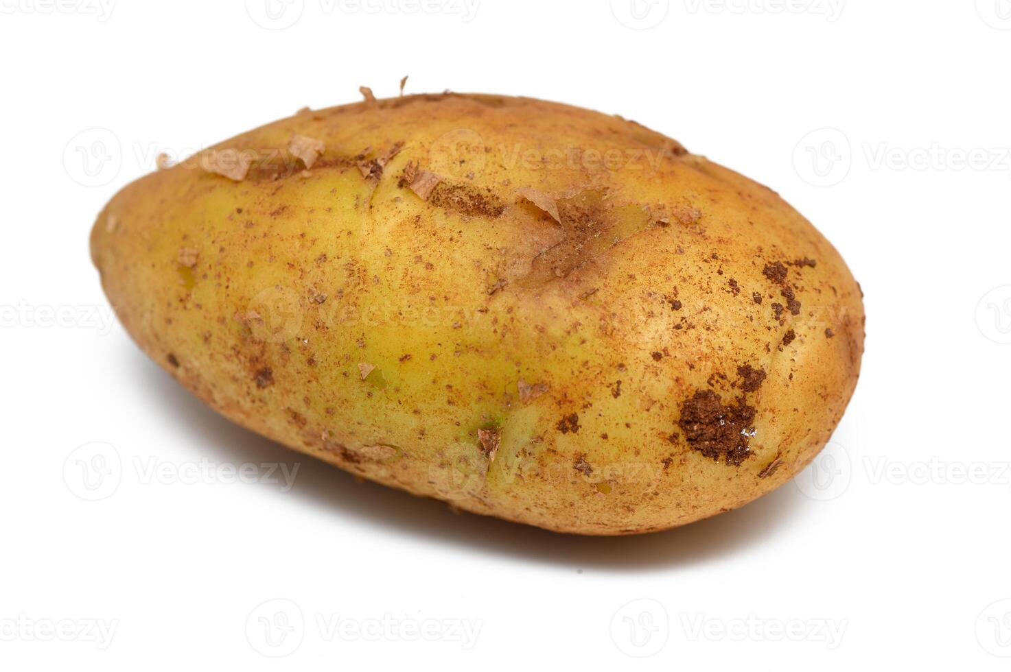 Unique, rustic potato showcasing natural textures and earthy tones from a fresh harvest photo
