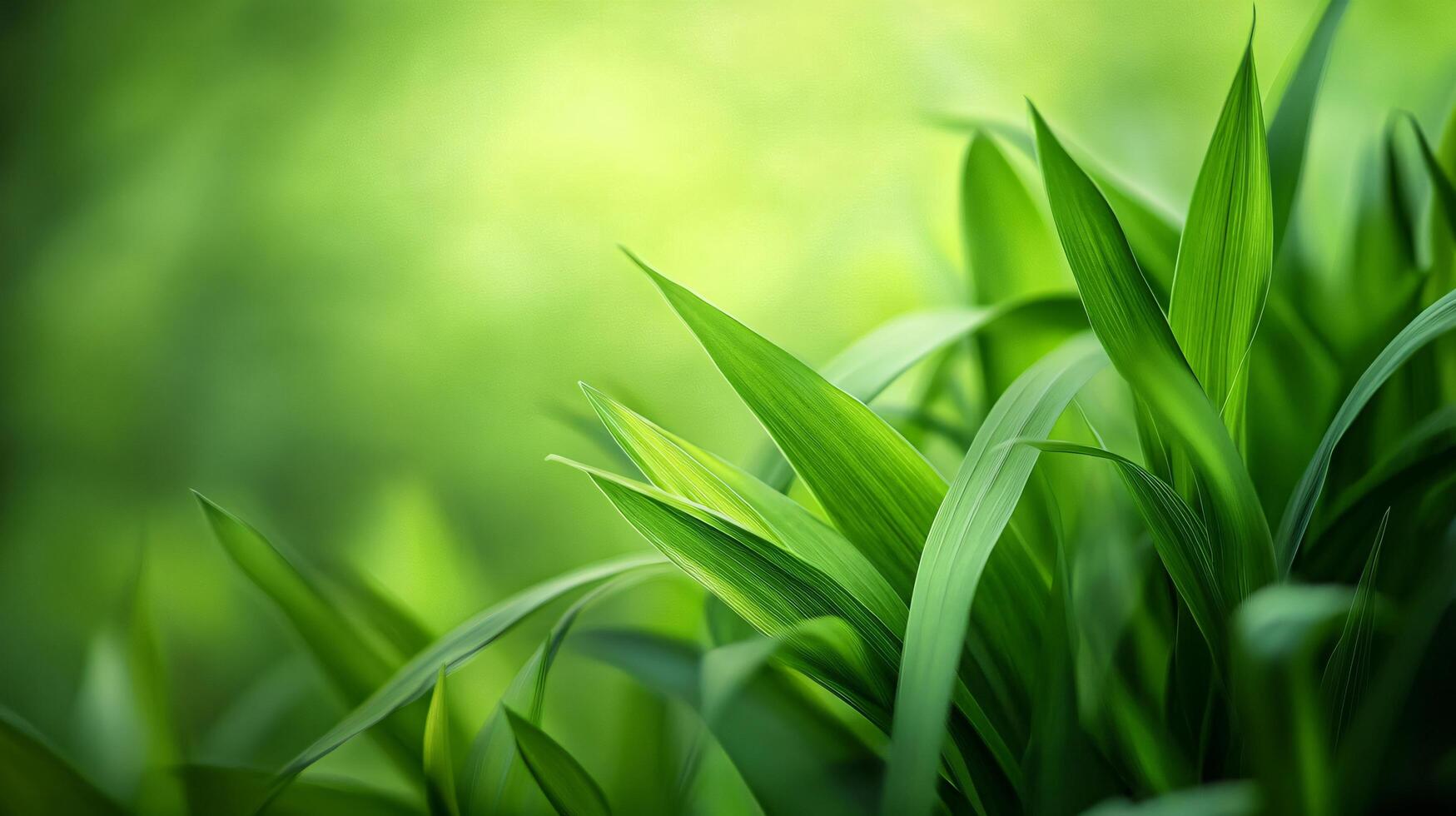 Vibrant green field with a few leaves on the grass. The grass is lush and the leaves are glistening with dew, giving the scene a fresh and lively atmosphere. The field is surrounded by trees photo
