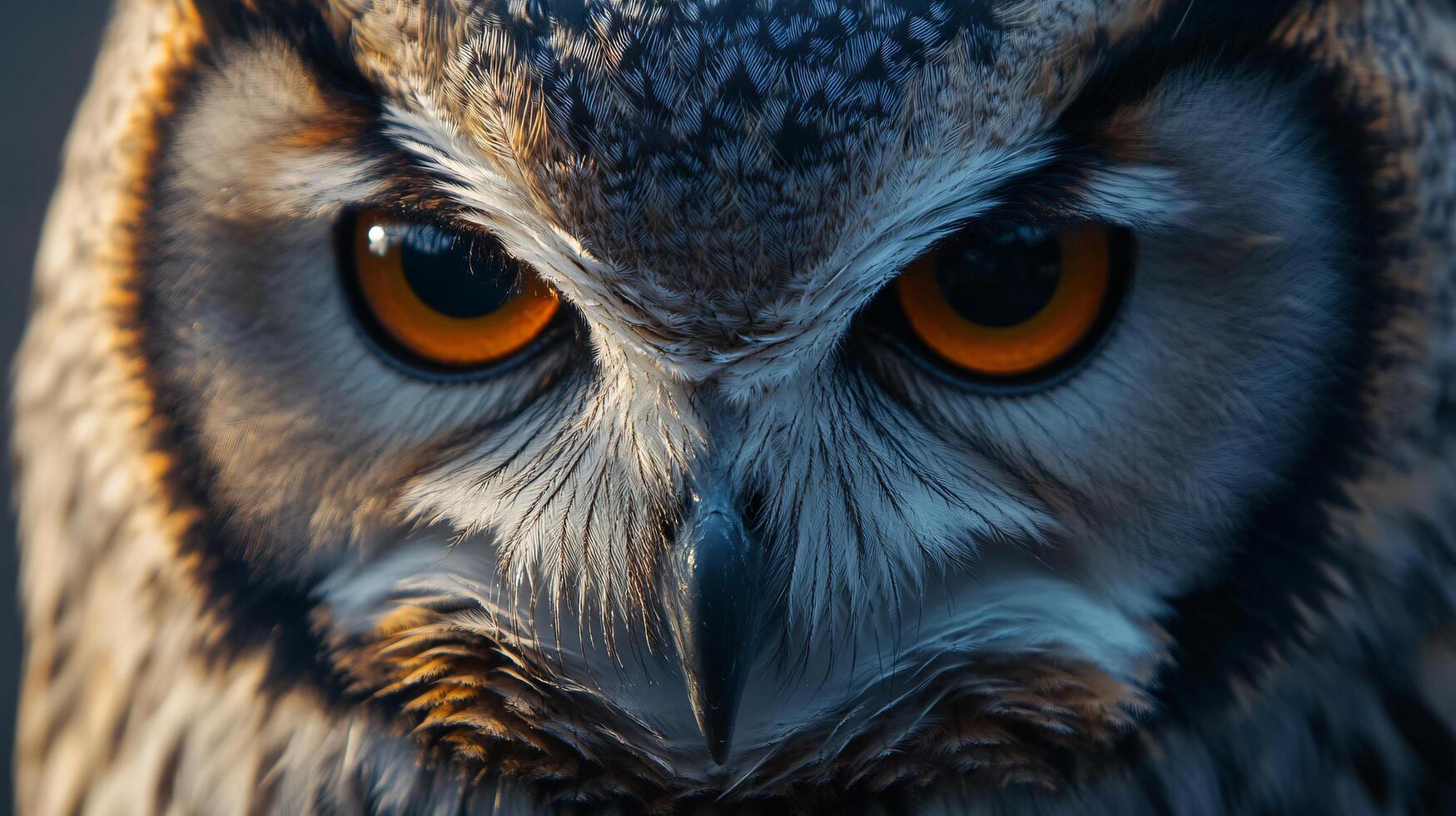 Close up of an owl's face with its eyes open and staring at the camera. The owl's eyes are large and bright, giving the impression of a fierce and intense gaze. Concept of mystery and intrigue photo