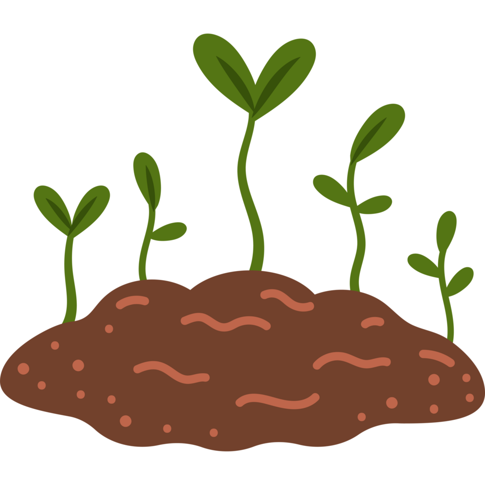 planting equipment sprouts png