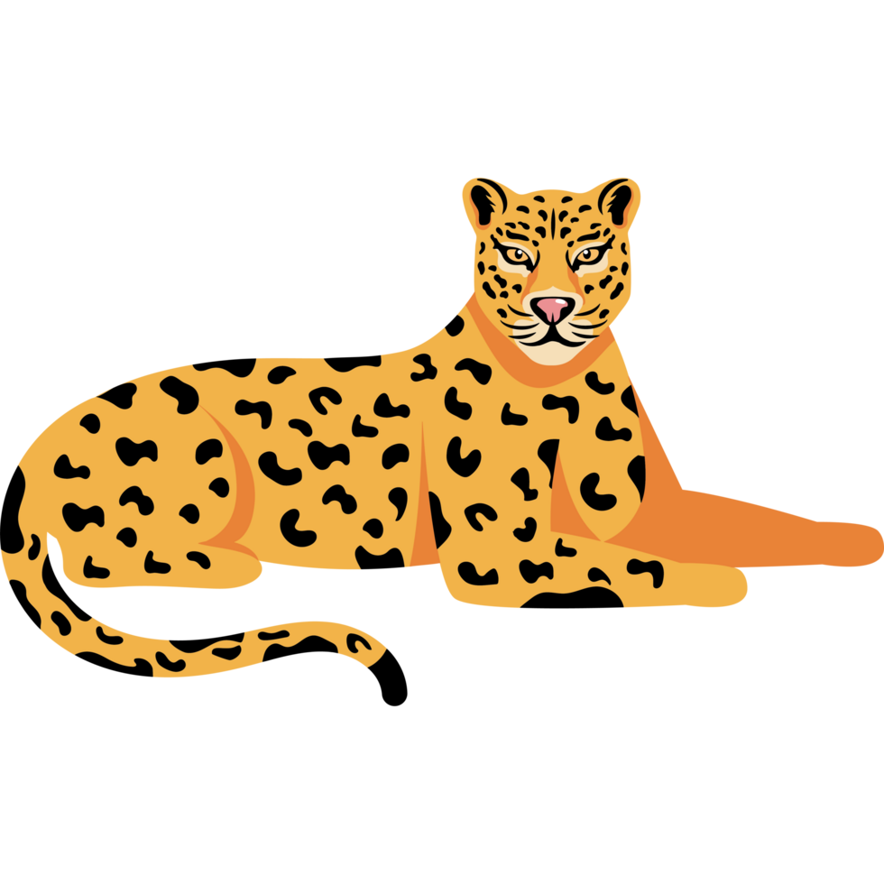 leopard feline cartoon png