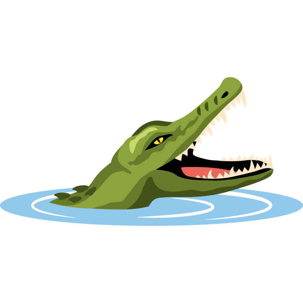 crocodile swimming in the river png