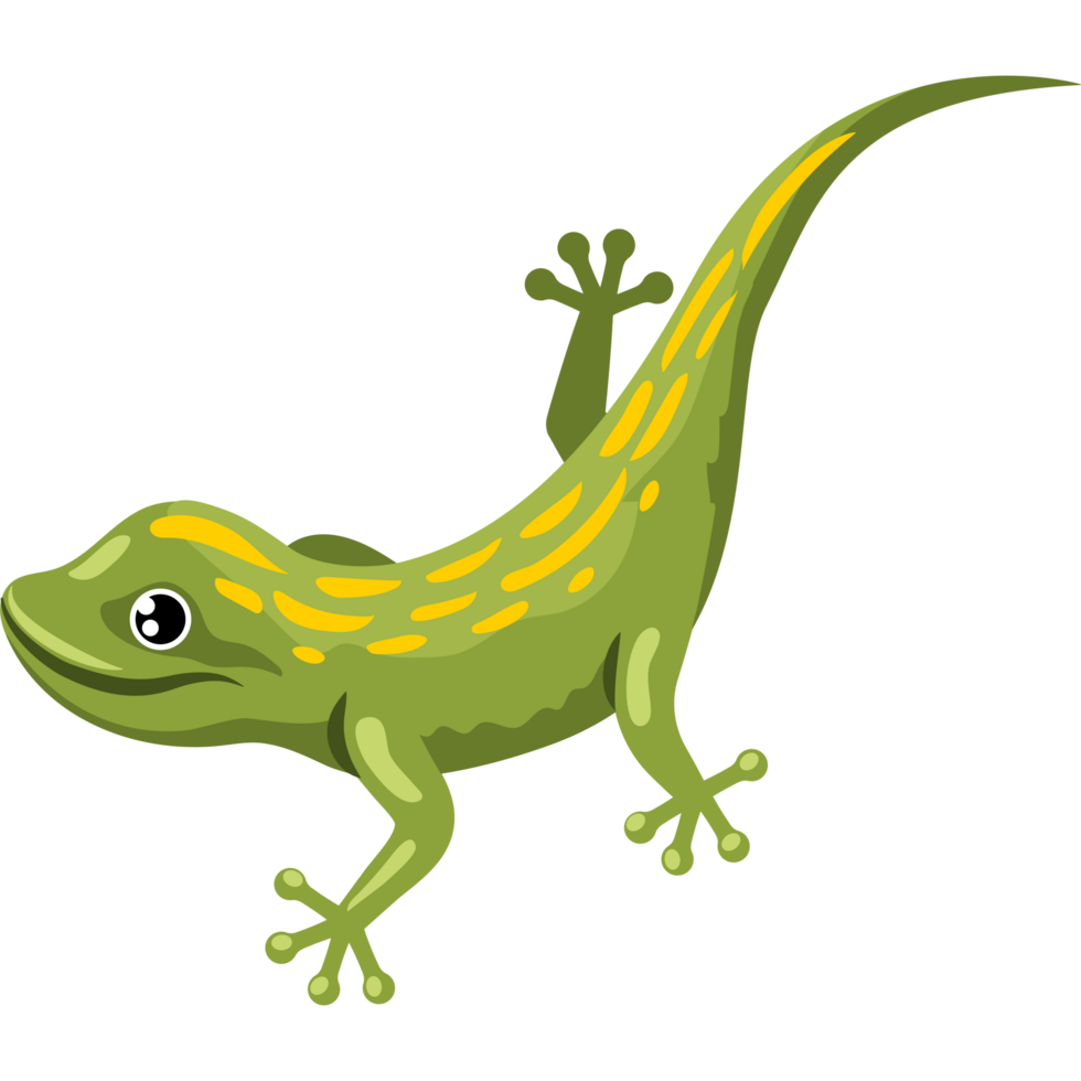 lizard small reptile png