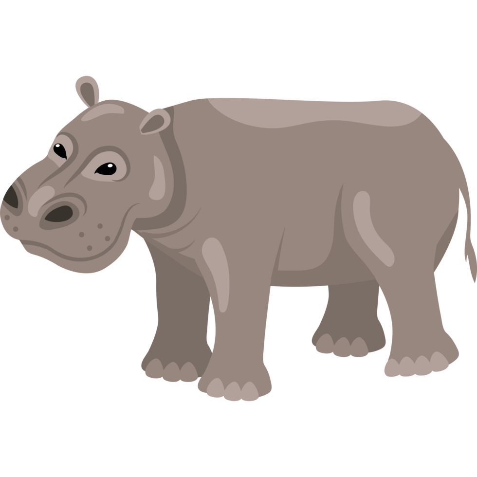 hippo cute animal png
