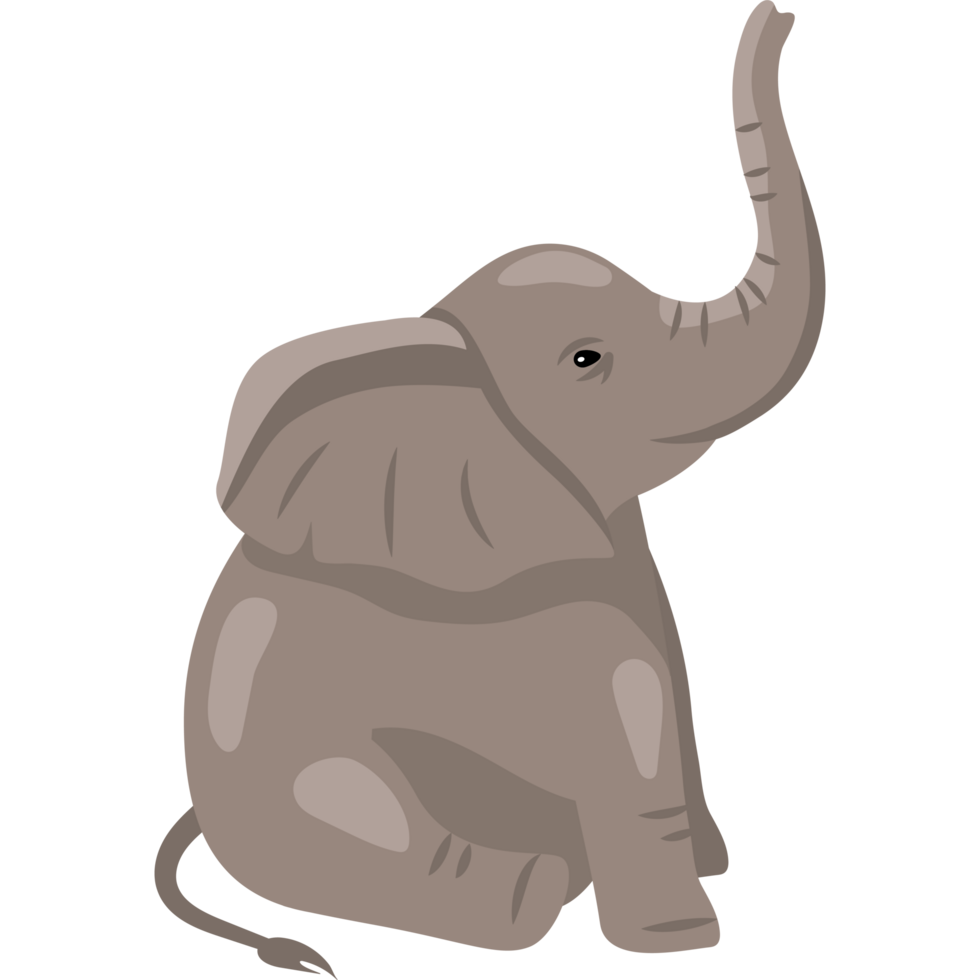 baby elephant sitting png