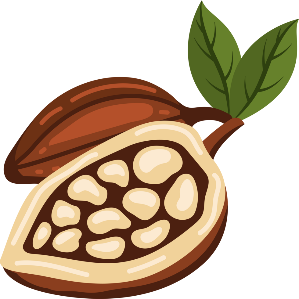 cocoa beans and leaves png