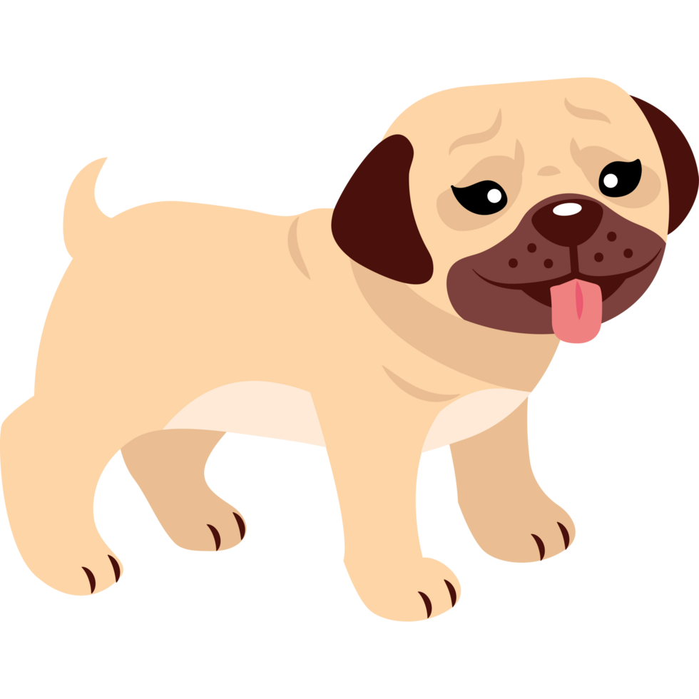 pug dog little mascot png