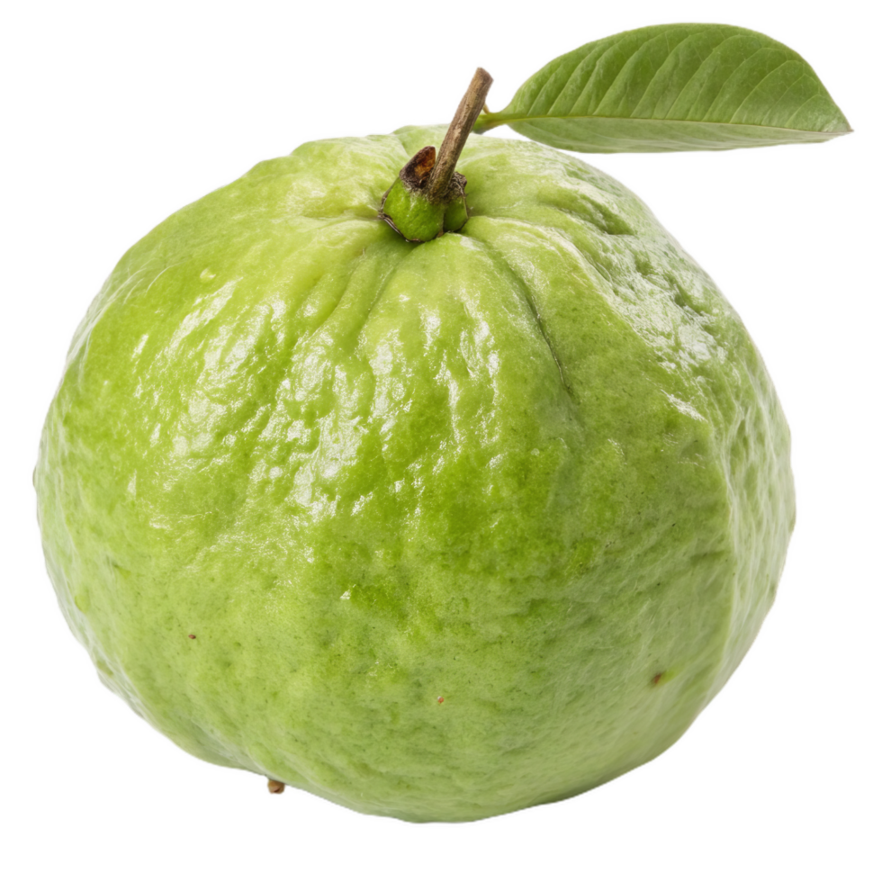 smooth green guava with slightly shiny skin and leaf on top, showcasing its fresh and vibrant appearance. Perfect for culinary uses or as healthy snack png