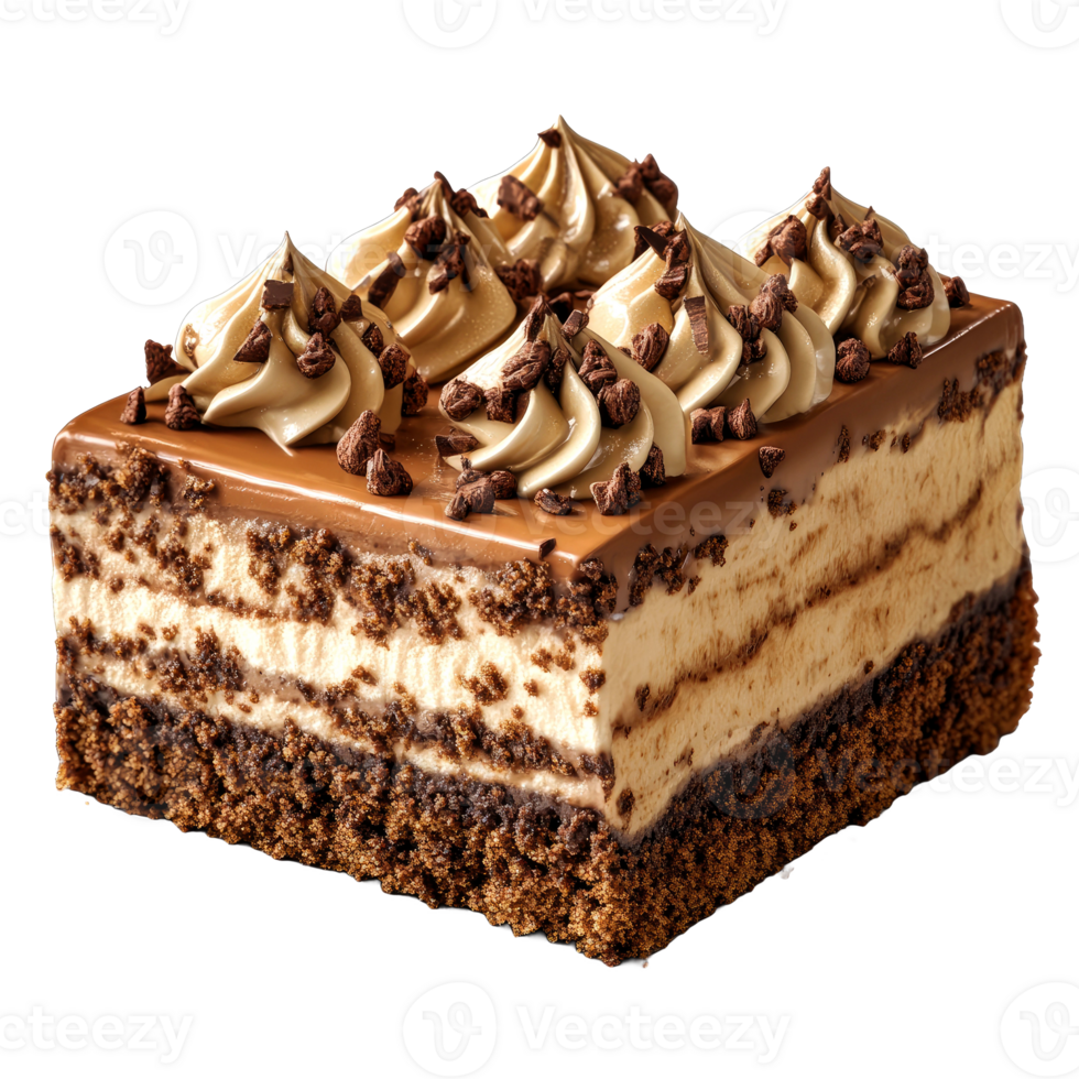 Delicious chocolate layered cake with creamy frosting and chocolate chips. png