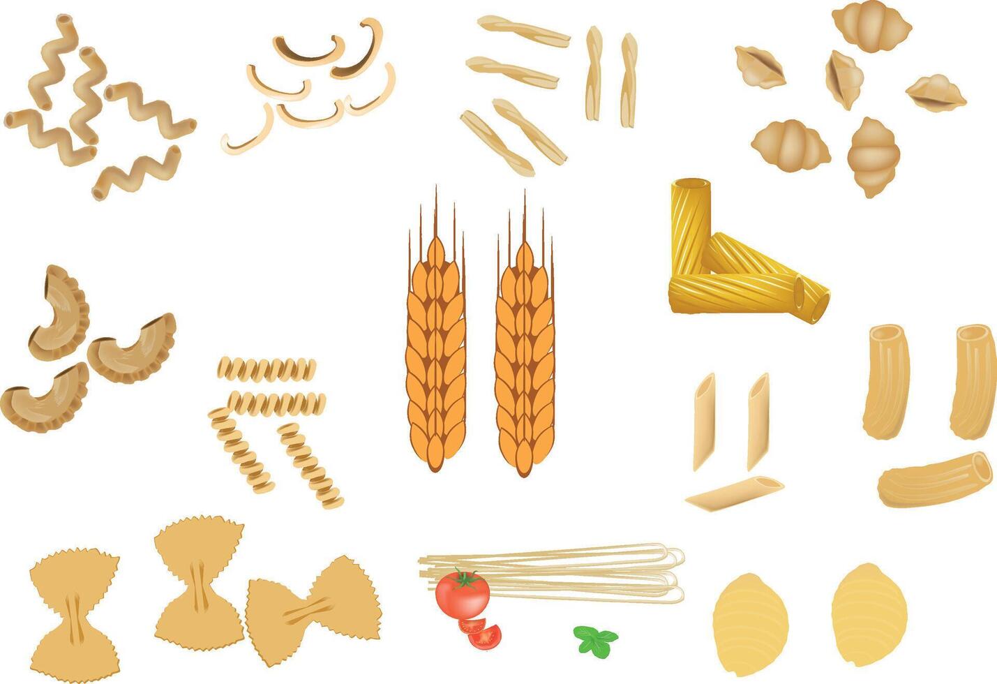 Various pasta and pasta ingredients vector