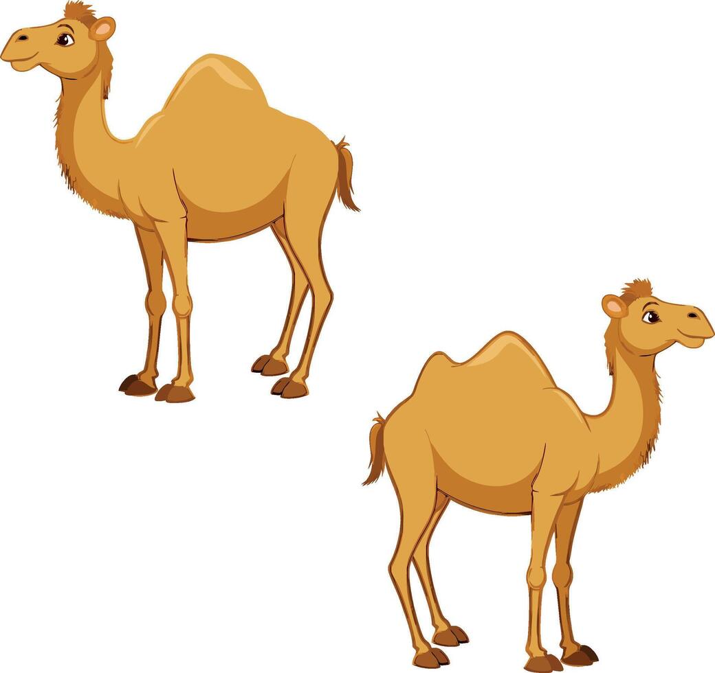 Two cartoon camels standing side by side vector