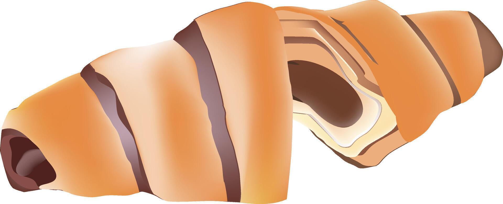 Delicious chocolate filled croissant sliced and displaying its content vector
