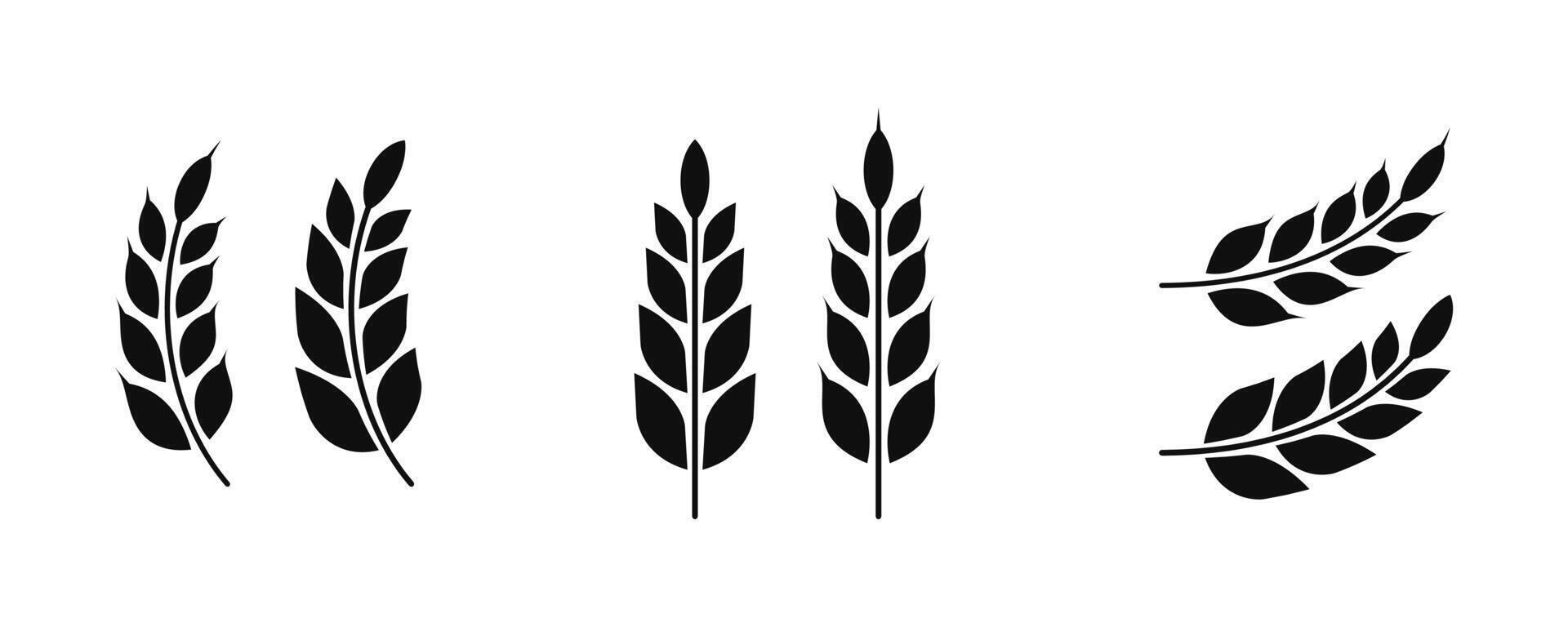 Wheat silhouette collection. Ear of wheat symbols. Wheat icon illustration. vector