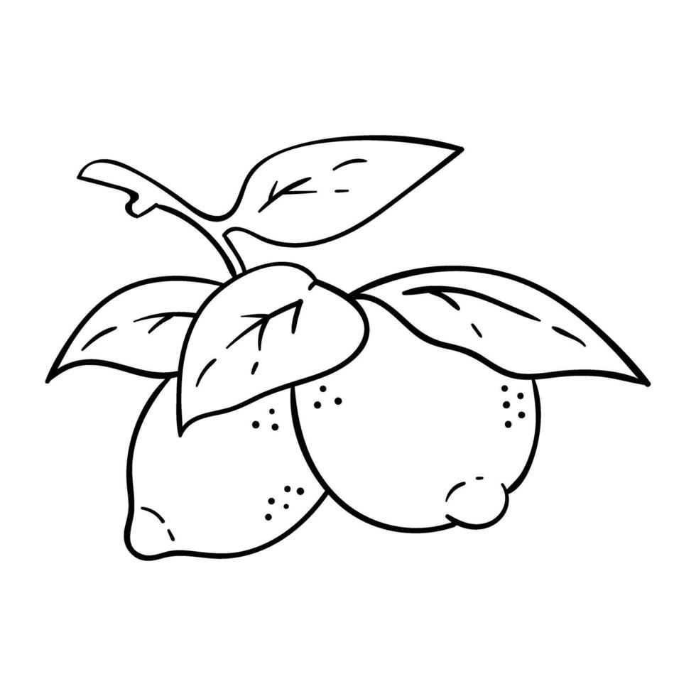 lemon fruit with leaves and leaves illustration vector