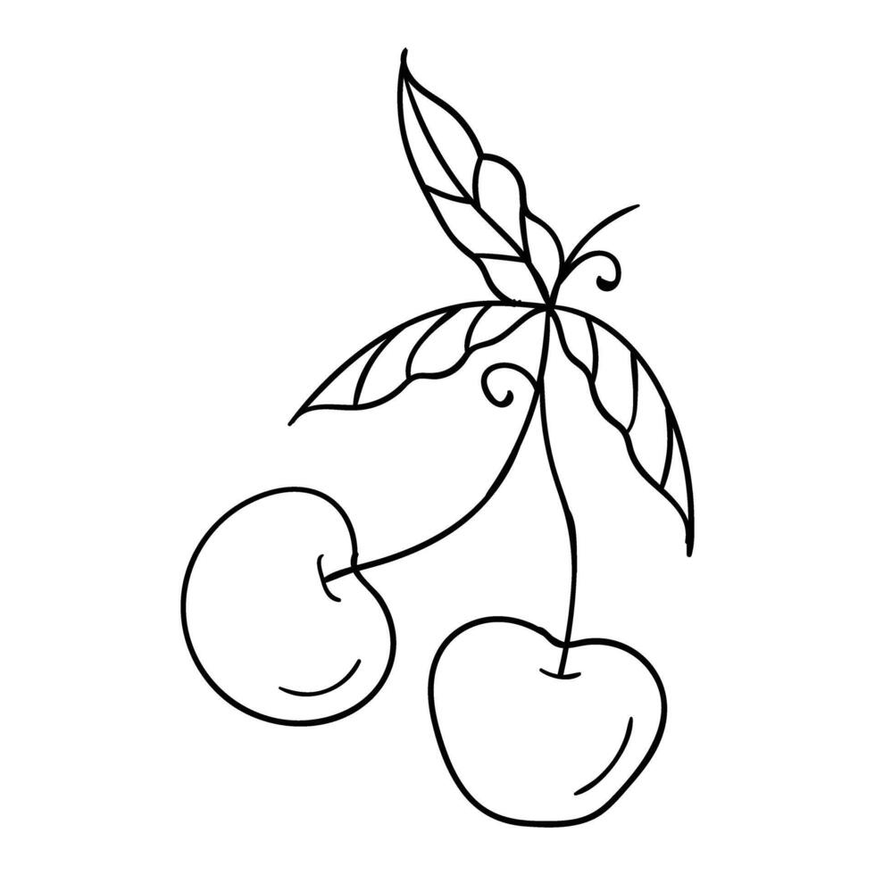 a drawing of cherries with leaves vector