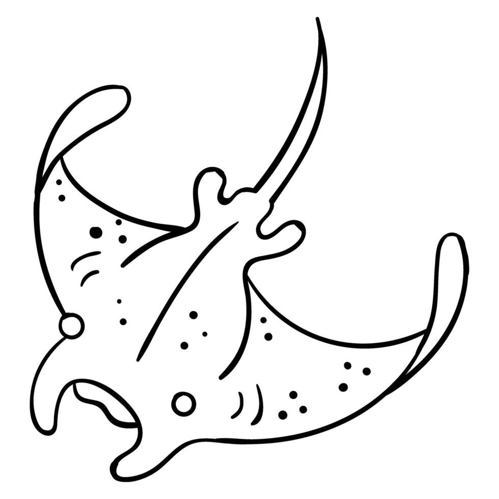 a black and white drawing of a sting ray vector