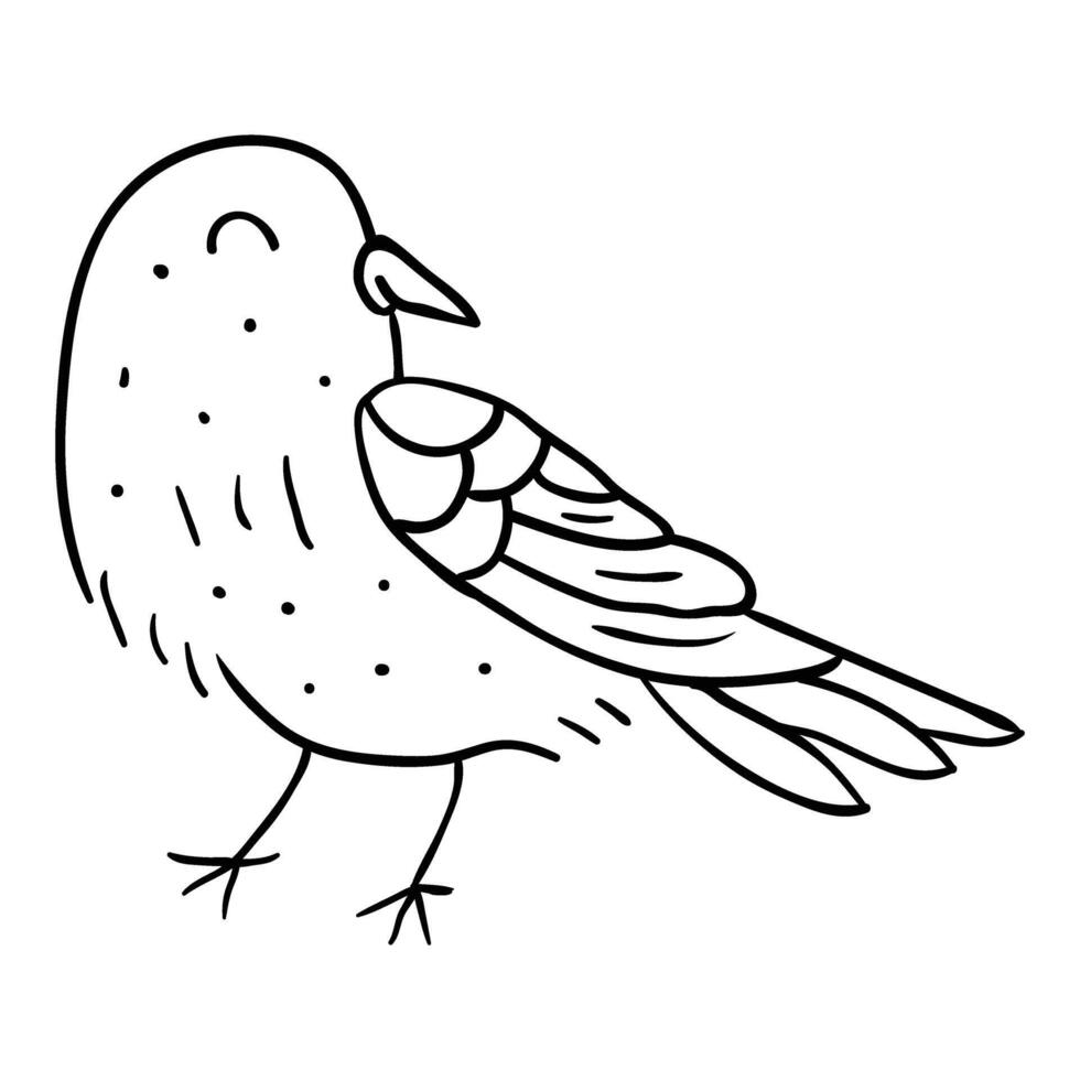 a black and white drawing of a bird vector