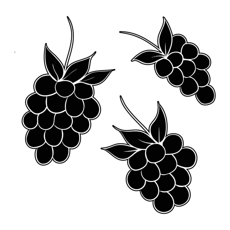 black and white illustration of grapes vector