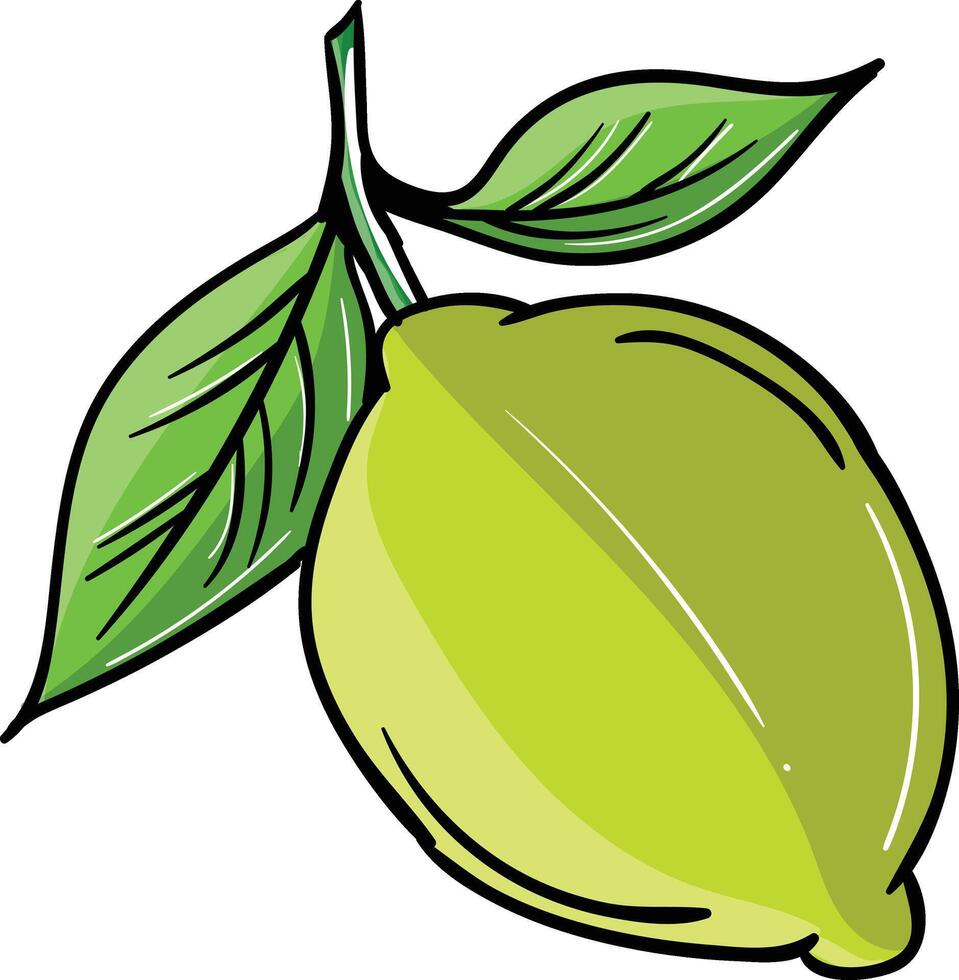 a lemon with leaves on it vector